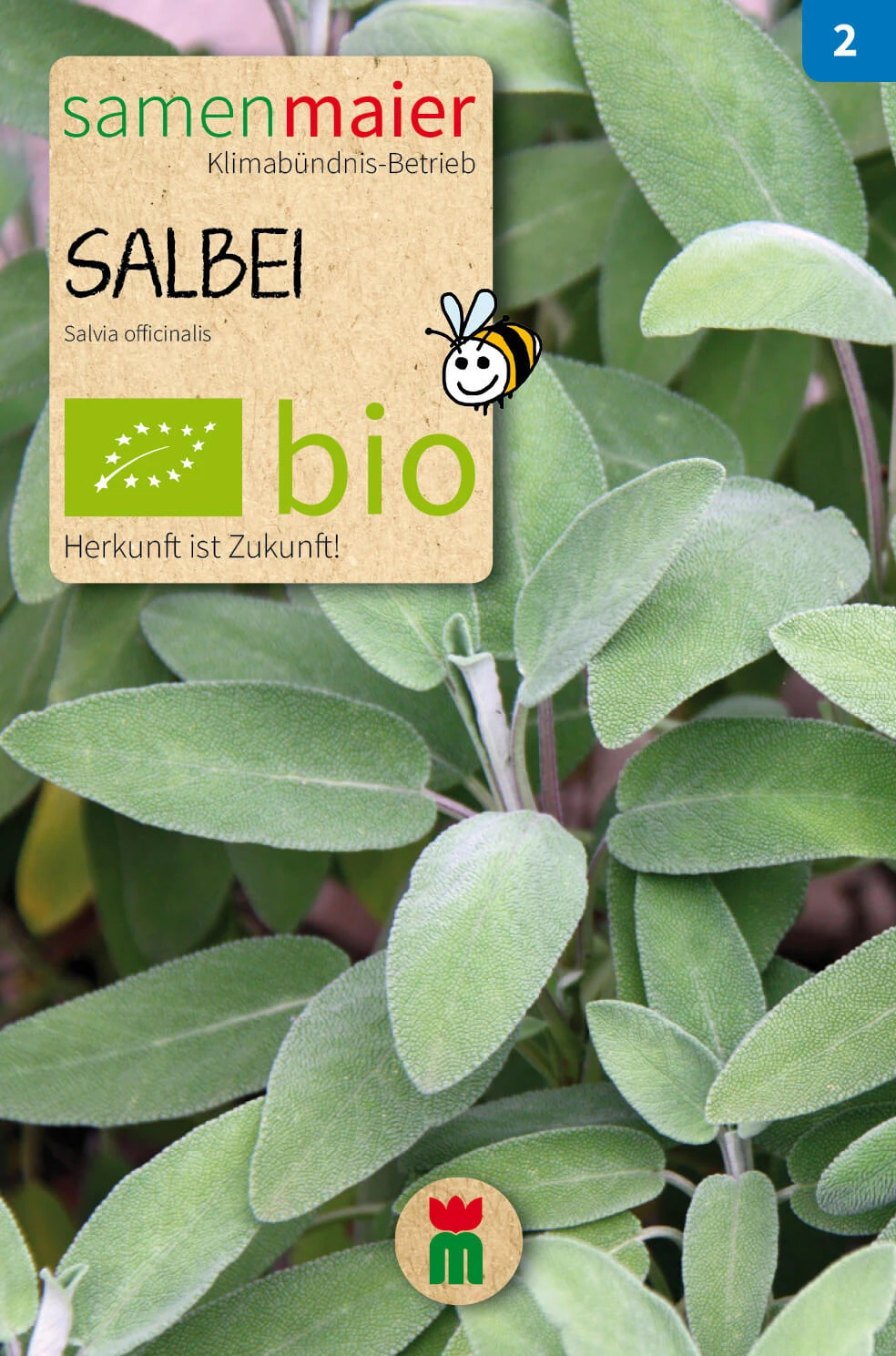 Beet-Box "Für Hobby-Franzosen" | BIO Kräutersamen-Sets Von Samen Maier 3 Beet-Box "Für Hobby-Franzosen" | BIO Kräutersamen-Sets Von Samen Maier