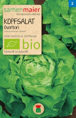 Beet-Box &quot;Für Smoothie-Maker&quot; | BIO Gemüsesamen-Sets Von Samen Maier -Elho Compo Geschaft 536710 BIO Beet Box Fuer Smoothie Maker BB12 sm 4