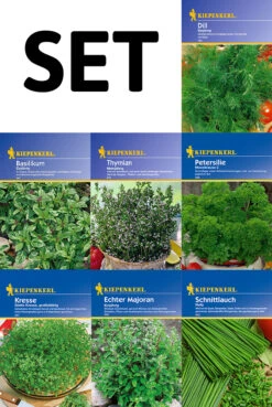 Kräutersamen - 7 Kräuter - Set | Kräutersamen-Sets Von Kiepenkerl