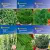 Kräuter - Saat - Sortiment Mit 9 Sorten | Kräutersamen-Sets Von Kiepenkerl -Elho Compo Geschaft 536765 Saat Sortiment Kraeuter 9 Sorten von Kiep 1