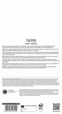 Tulpe Danceline (5 Stück) | Tulpenzwiebeln Von Sperli -Elho Compo Geschaft 537954 Tulpe Danceline 5 Stueck 453249 1