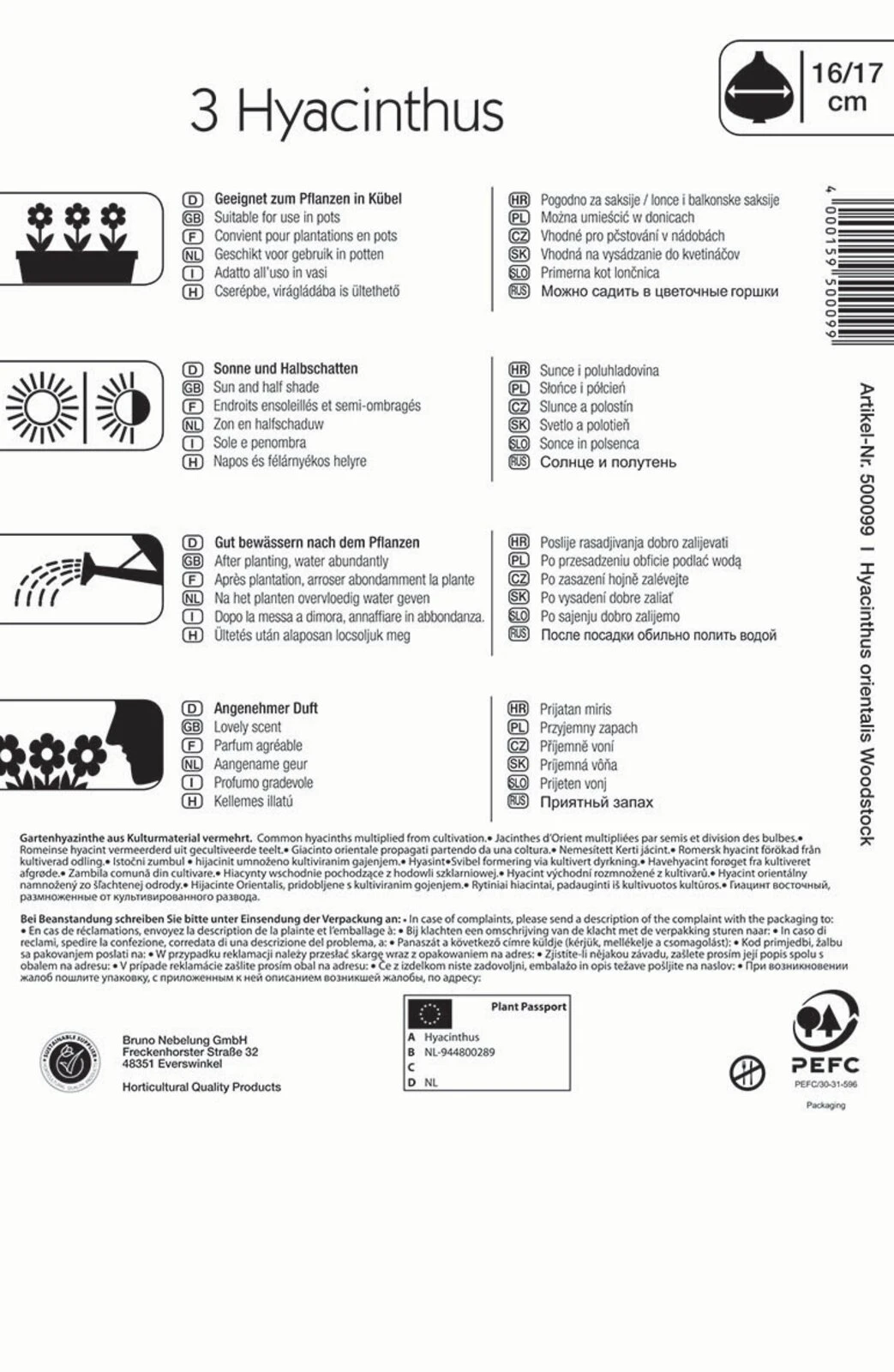 Hyazinthe Woodstock (3 Stück) | Hyazinthenzwiebeln Von Kiepenkerl 3 Hyazinthe Woodstock (3 Stück) | Hyazinthenzwiebeln Von Kiepenkerl