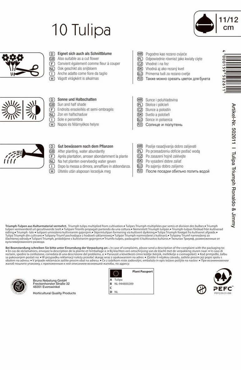 Triumph-Tulpe Halloween Mischung (10 Stück) | Tulpenzwiebeln Von Kiepenkerl 3 Triumph-Tulpe Halloween Mischung (10 Stück) | Tulpenzwiebeln Von Kiepenkerl