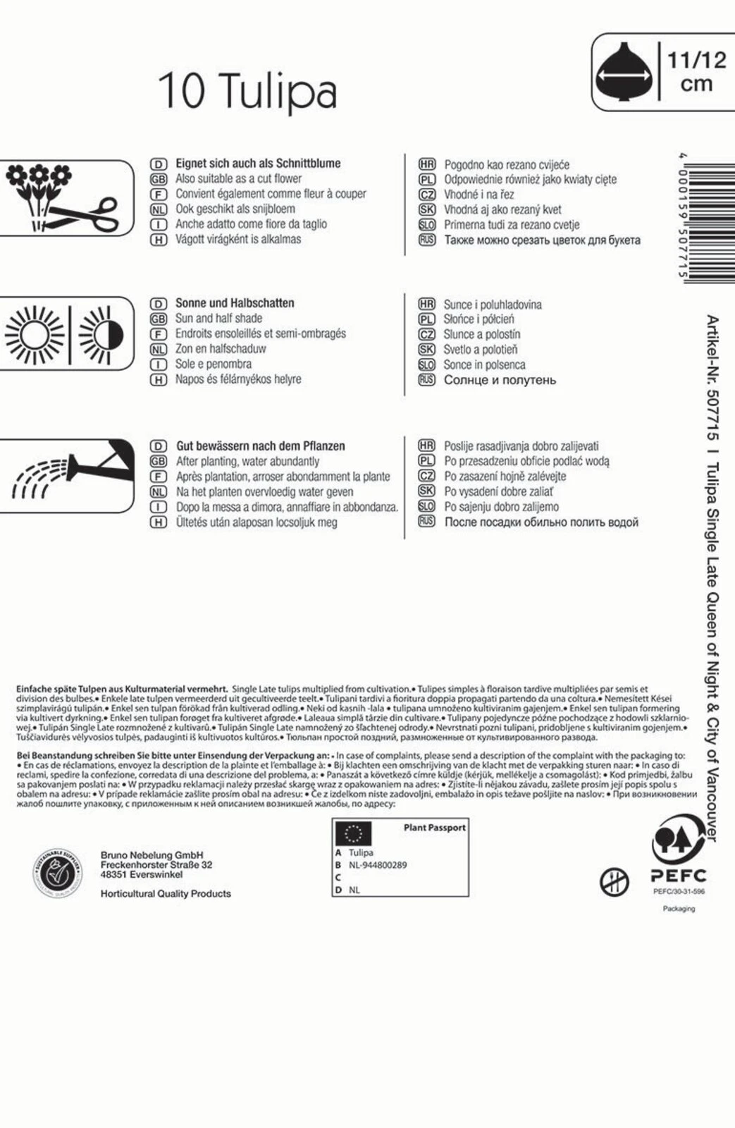 Einfache Späte Tulpe Night And Day (10 Stück) | Tulpenzwiebeln Von Kiepenkerl 4 Einfache Späte Tulpe Night And Day (10 Stück) | Tulpenzwiebeln Von Kiepenkerl – Bild 2