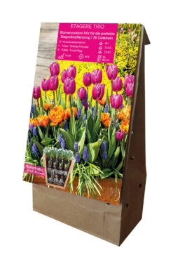 Etagere Trio (25 Stück) | Blumenzwiebelmischungen Von Young Generation 5 Etagere Trio (25 Stück) | Blumenzwiebelmischungen Von Young Generation -Elho Compo Geschaft 538172 Etagere Trio 25 Stueck 594678 1