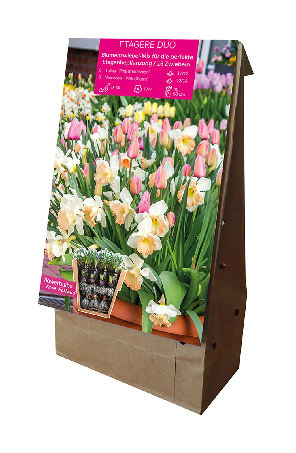 Etagere Duo (16 Stück) | Blumenzwiebelmischungen Von Young Generation 4 Etagere Duo (16 Stück) | Blumenzwiebelmischungen Von Young Generation – Bild 2