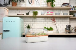 BoQube Gewächshaus &amp; Pflanzkasten L Creme-kupfer | Zimmergewächshäuser Von Romberg -Elho Compo Geschaft 539701 BoQube Gewaechshaus Farbe creme kupferg 7