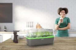 BoQube Gewächshaus & Pflanzkasten L Anthrazit-grün | Zimmergewächshäuser Von Romberg 20 BoQube Gewächshaus & Pflanzkasten L Anthrazit-grün | Zimmergewächshäuser Von Romberg -Elho Compo Geschaft 539702 BoQube Gewaechshaus Farbe anthrazit gru 6