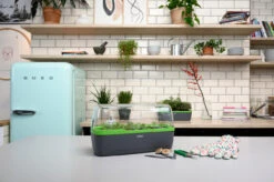 BoQube Gewächshaus & Pflanzkasten L Anthrazit-grün | Zimmergewächshäuser Von Romberg 21 BoQube Gewächshaus & Pflanzkasten L Anthrazit-grün | Zimmergewächshäuser Von Romberg -Elho Compo Geschaft 539702 BoQube Gewaechshaus Farbe anthrazit gru 7