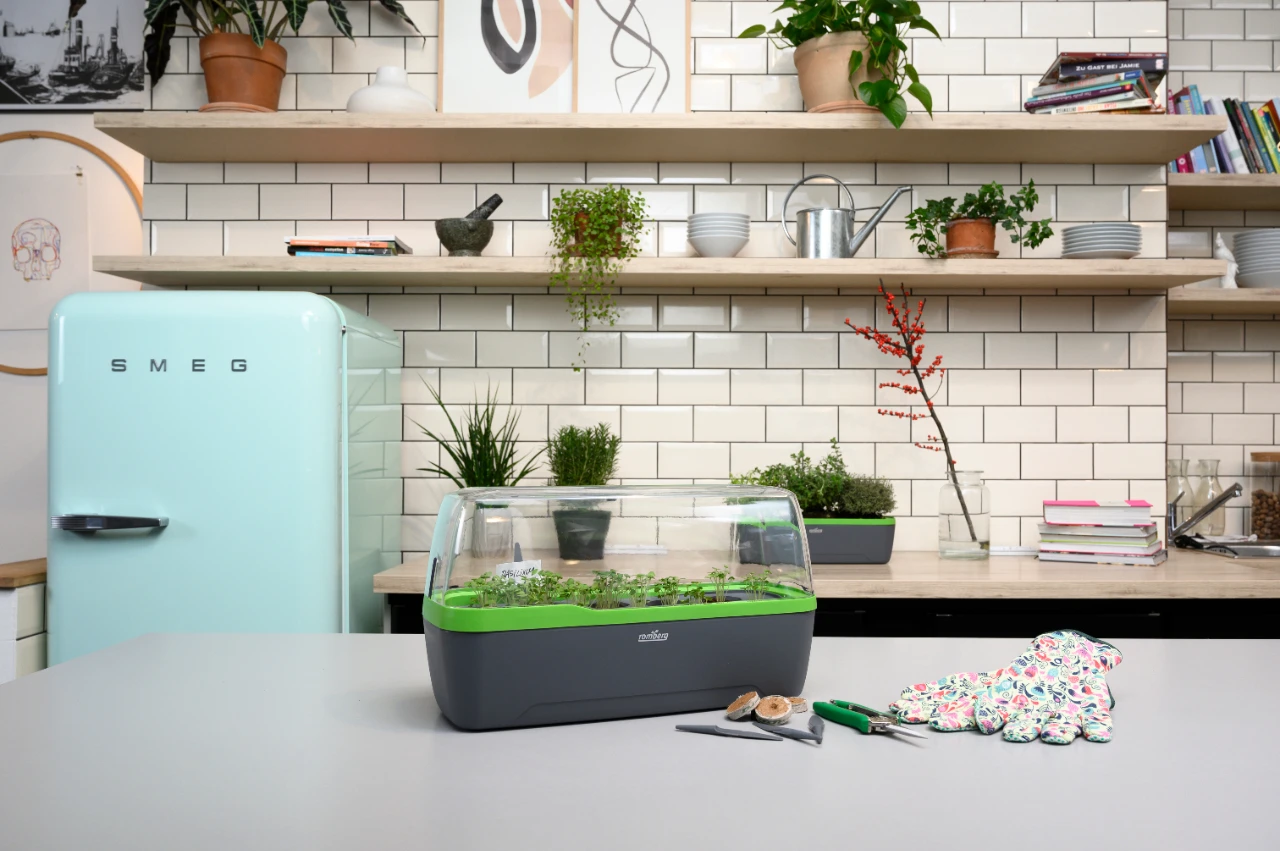 BoQube Gewächshaus & Pflanzkasten L Anthrazit-grün | Zimmergewächshäuser Von Romberg 12 BoQube Gewächshaus & Pflanzkasten L Anthrazit-grün | Zimmergewächshäuser Von Romberg – Bild 10