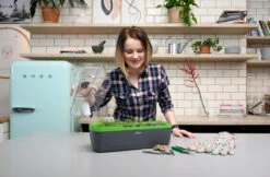 BoQube Gewächshaus & Pflanzkasten L Anthrazit-grün | Zimmergewächshäuser Von Romberg 16 BoQube Gewächshaus & Pflanzkasten L Anthrazit-grün | Zimmergewächshäuser Von Romberg -Elho Compo Geschaft 539702 BoQube Gewaechshaus Farbe anthrazit gru 8