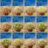 BIO Keimsprossen Sortiment Mit 12 Sorten | Keimsprossen Von Kiepenkerl -Elho Compo Geschaft 539847 BIO Keimsprossen Sortiment mit 12 Sorten 5324 0