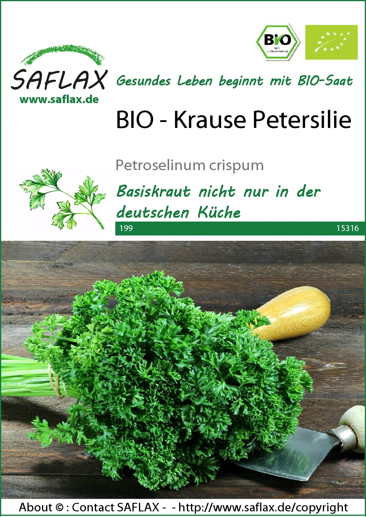 Petersilie Krause | BIO Petersiliensamen Von Saflax 3 Petersilie Krause | BIO Petersiliensamen Von Saflax