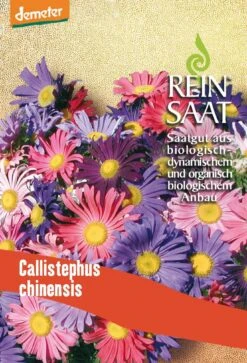 Sommeraster | BIO Asternsamen Von Reinsaat