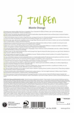 Tulpe Monte Orange (7 Stück) | Tulpenzwiebeln Von Sperli -Elho Compo Geschaft 540703 Tulpe Monte Orange 7 Stueck 451085 1