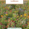 Blumenwiese Feldblumenmischung (100 G) | Blumensamen Von Bertrand -Elho Compo Geschaft 540950 Blumenwiese Landblumen 100 g