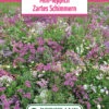 Blumenwiese Mini Teppich Zartes Schimmern (100 G) | Blumensamen Von Bertrand -Elho Compo Geschaft 540953 Blumenwiese Mini Teppich Zartes Schimmern 100 g