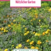 Blumenwiese &quot;Die Essbaren Blumen&quot; (100 G) | Blumensamen Von Bertrand -Elho Compo Geschaft 540960 Blumenwiese Pfarrgarten 100 g