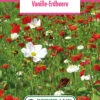 Blumenwiese Blumenteppich Vanille-Erdbeere (100 G) | Blumensamen Von Bertrand -Elho Compo Geschaft 540964 Blumenwiese Vanille Erdbeere 100 g