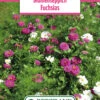 Blumenwiese Blumenteppich Fuchsias (100 G) | Blumensamen Von Bertrand -Elho Compo Geschaft 540976 Blumenwiese Blumenteppich Fuchsias 100 g