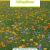 Blumenwiese Frühlingsblumen (100 G) | Blumensamen Von Bertrand 2 Blumenwiese Frühlingsblumen (100 G) | Blumensamen Von Bertrand -Elho Compo Geschaft 540988 Blumenwiese Fruehlingsblumen 100 g