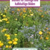Blumenwiese Blumen Für Steinige Und Kalkhaltige Böden (100 G) | Blumensamen Von Bertrand 2 Blumenwiese Blumen Für Steinige Und Kalkhaltige Böden (100 G) | Blumensamen Von Bertrand -Elho Compo Geschaft 540999 Blumenwiese Blumen fuer steinige und kalkhaltige Boeden 100 g