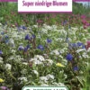 Blumenwiese Zwergenmischung (100 G) | Blumensamen Von Bertrand -Elho Compo Geschaft 541002 Blumenwiese Super Niedrige Blumen 100 g