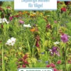 Blumenwiese Einjährige Blumen Für Vögel (100 G) | Blumensamen Von Bertrand -Elho Compo Geschaft 541008 Blumenwiese Einjaehrige Blumen fuer Voegel 100 g