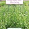 Blumenwiese Schmetterlingswiese (100 G) | Blumensamen Von Bertrand -Elho Compo Geschaft 541023 Blumenwiese Blumen aus der Natur Schmetterling 100 g