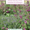 Blumenwiese Staudenmischung Für Schatten &amp; Lichtungen (100 G) | Blumensamen Von Bertrand -Elho Compo Geschaft 541025 Blumenwiese Blumen aus der Natur Schatten und Lichtungen 100 g