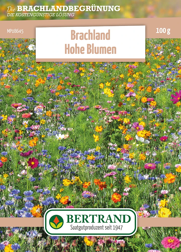 Blumenwiese Brachland Hohe Blumen (100 G) | Blumensamen Von Bertrand 3 Blumenwiese Brachland Hohe Blumen (100 G) | Blumensamen Von Bertrand