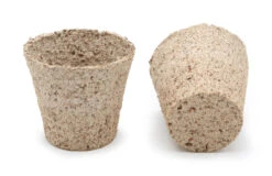 6 Cm Anzuchttopf Kokos Rund (2592 Stück) | Anzuchttöpfe Von Jiffy 10 6 Cm Anzuchttopf Kokos Rund (2592 Stück) | Anzuchttöpfe Von Jiffy -Elho Compo Geschaft 542628 6 cm Anzuchttopf aus Kokos rund 2592 Stueck 30812200 jf 0