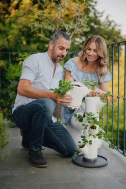 Sissi Strawberry Erdbeerturm Starter Weiß (4 Etagen) | Erdbeertürme Von Gusta Garden -Elho Compo Geschaft 543337 Sissy Strawberry starter weiss 4 Etagen 5