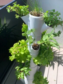 Sissi Strawberry Erdbeerturm Starter Anthrazit (4 Etagen) | Erdbeertürme Von Gusta Garden -Elho Compo Geschaft 543338 Sissi Strawberry Erdbeerturm starter anthrazit 4 Etagen 101569 gg 4