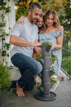 Sissi Strawberry Erdbeerturm Starter Anthrazit (4 Etagen) | Erdbeertürme Von Gusta Garden -Elho Compo Geschaft 543338 Sissy Strawberry starter anthrazit 4 Etagen 2