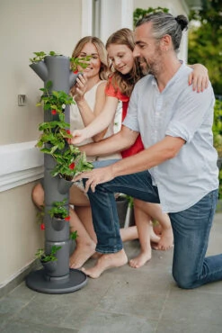 Sissi Strawberry Erdbeerturm Classic Anthrazit (6 Etagen) | Erdbeertürme Von Gusta Garden -Elho Compo Geschaft 543340 Sissy Strawberry classic anthrazit 6 Etagen 4