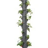Sissi Strawberry Erdbeerturm Infinity Anthrazit (10 Etagen) | Erdbeertürme Von Gusta Garden 1 Sissi Strawberry Erdbeerturm Infinity Anthrazit (10 Etagen) | Erdbeertürme Von Gusta Garden -Elho Compo Geschaft 543344 Sissy Strawberry infinity anthrazit 10 Etagen
