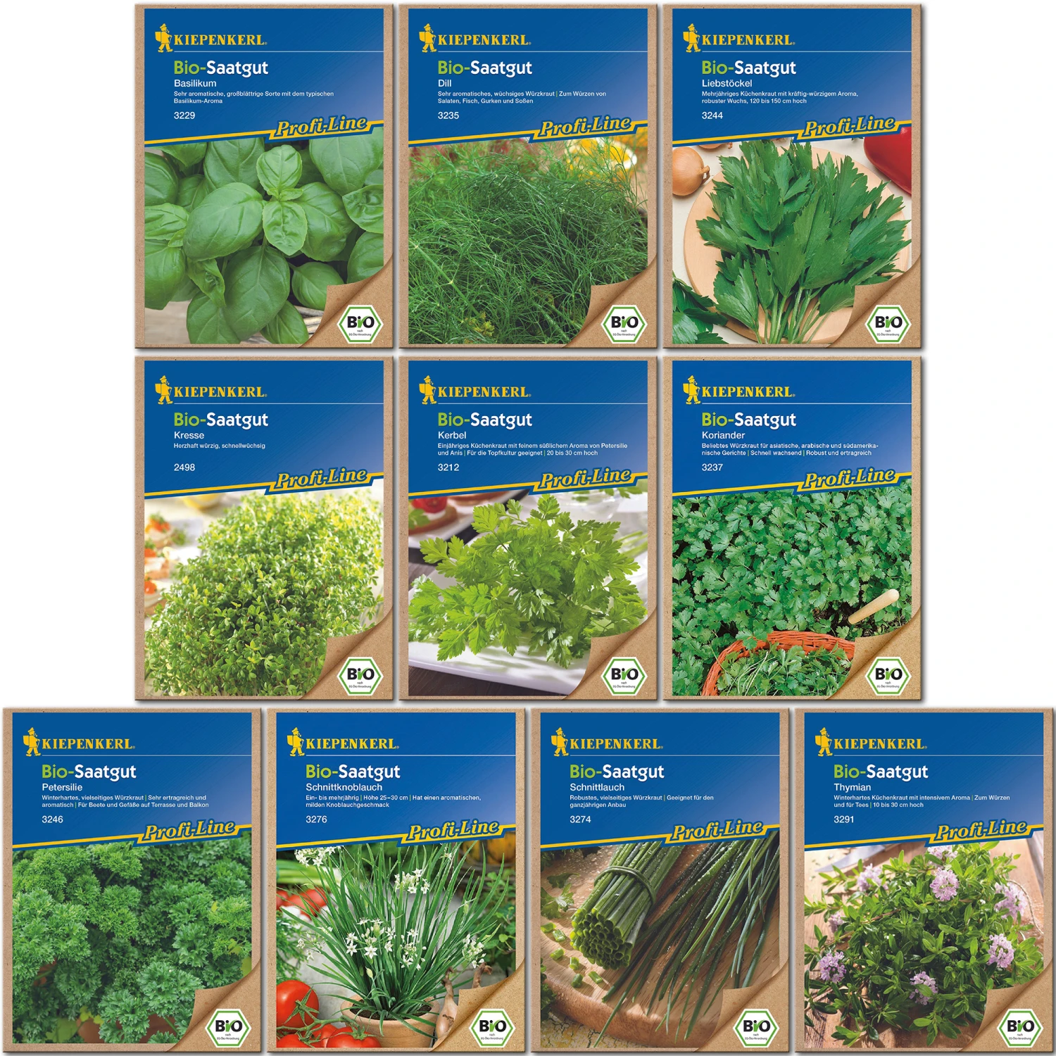 Kräuter - Set 10 Sorten | BIO Kräutersamen-Sets Von Kiepenkerl 3 Kräuter - Set 10 Sorten | BIO Kräutersamen-Sets Von Kiepenkerl