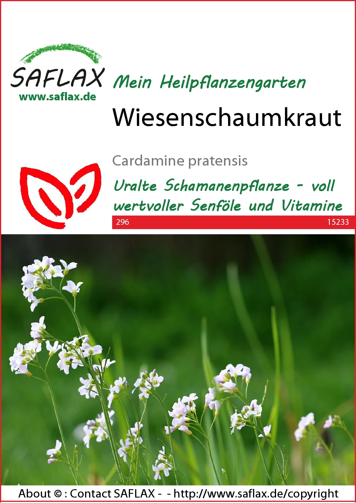 Wiesenschaumkraut | Wildblumensamen Von Saflax 3 Wiesenschaumkraut | Wildblumensamen Von Saflax