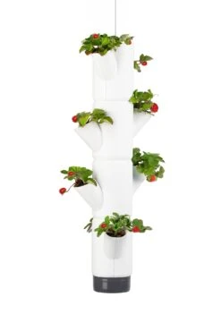 Sissi Strawberry Erdbeerturm Hanging Weiß (4 Etagen) | Erdbeertürme Von Gusta Garden -Elho Compo Geschaft 543597 Sissi Strawberry Hanging weiss 4 Etagen