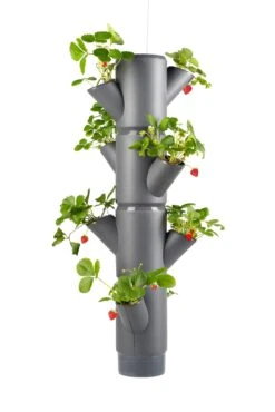 Sissi Strawberry Erdbeerturm Hanging Anthrazit (4 Etagen) | Erdbeertürme Von Gusta Garden -Elho Compo Geschaft 543598 Sissi Strawberry Hanging anthrazit 4 Etagen
