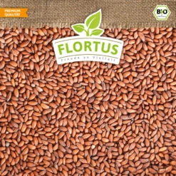 Bio-Kresse (900 G) | Bio-Kressesamen Von Flortus 13 Bio-Kresse (900 G) | Bio-Kressesamen Von Flortus -Elho Compo Geschaft 543638 Bio Kresse 900 g 4