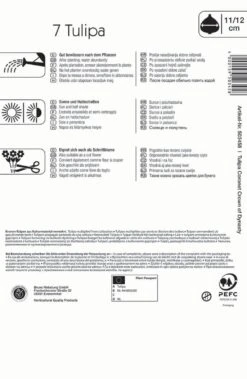 Kronentulpe Crown Of Dynasty (7 Stück) | Tulpenzwiebeln Von Kiepenkerl -Elho Compo Geschaft 543943 Kronentulpe Crown of Dynasty 7 Stueck 503458 1