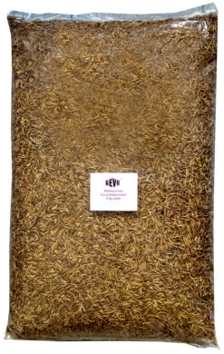 Mehlwürmer Getrocknet (5 Kg) | Mehlwürmer Von GEVO