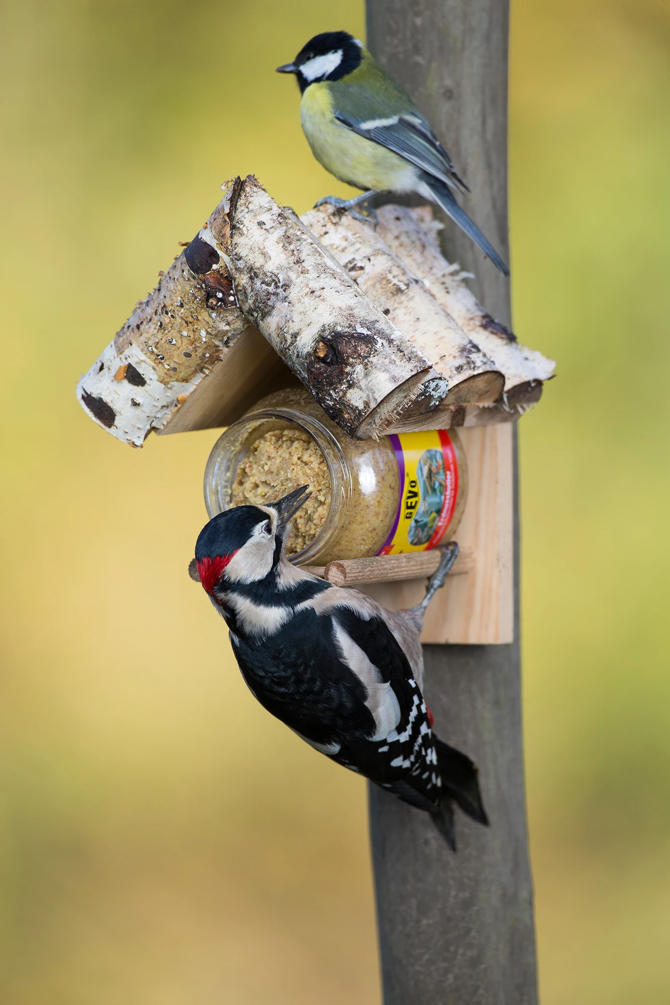 Holz-Halterung Für Futterglas | Holz-Halterung Von GEVO 3 Holz-Halterung Für Futterglas | Holz-Halterung Von GEVO