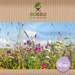 Bienenweide Halbschatten- Und Schattenbereich (50 G) | Bienenwiese Von Biobalu 9 Bienenweide Halbschatten- Und Schattenbereich (50 G) | Bienenwiese Von Biobalu -Elho Compo Geschaft 546069 Bienenweide Halbschatten und Schattenbereich 50 g 2