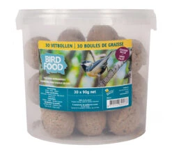 Meisenknödel Im Eimer (30 Stück) | Vogelfutter Von Bûten Birds