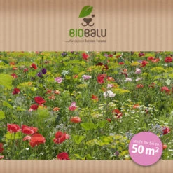 Saatgutmischung Sommerzauber (30 G) | Bienenwiese Von Biobalu 9 Saatgutmischung Sommerzauber (30 G) | Bienenwiese Von Biobalu -Elho Compo Geschaft 547420 Saatgutmischung Sommerzauber 30 g 1