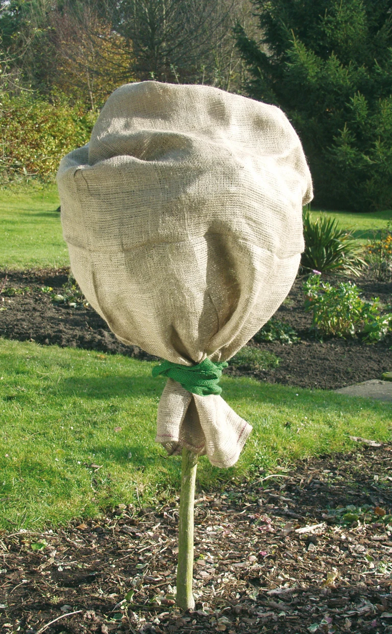 Jute-Schutzsack Natur (60 X 80 Cm) | Winterschutz Von Gardissimo 3 Jute-Schutzsack Natur (60 X 80 Cm) | Winterschutz Von Gardissimo