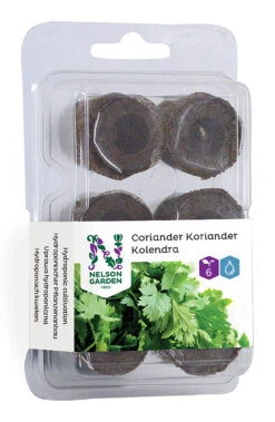 Hydroponik-Quelltablette Koriander (6 Stück) | Koriandersamen Von Nelson Garden